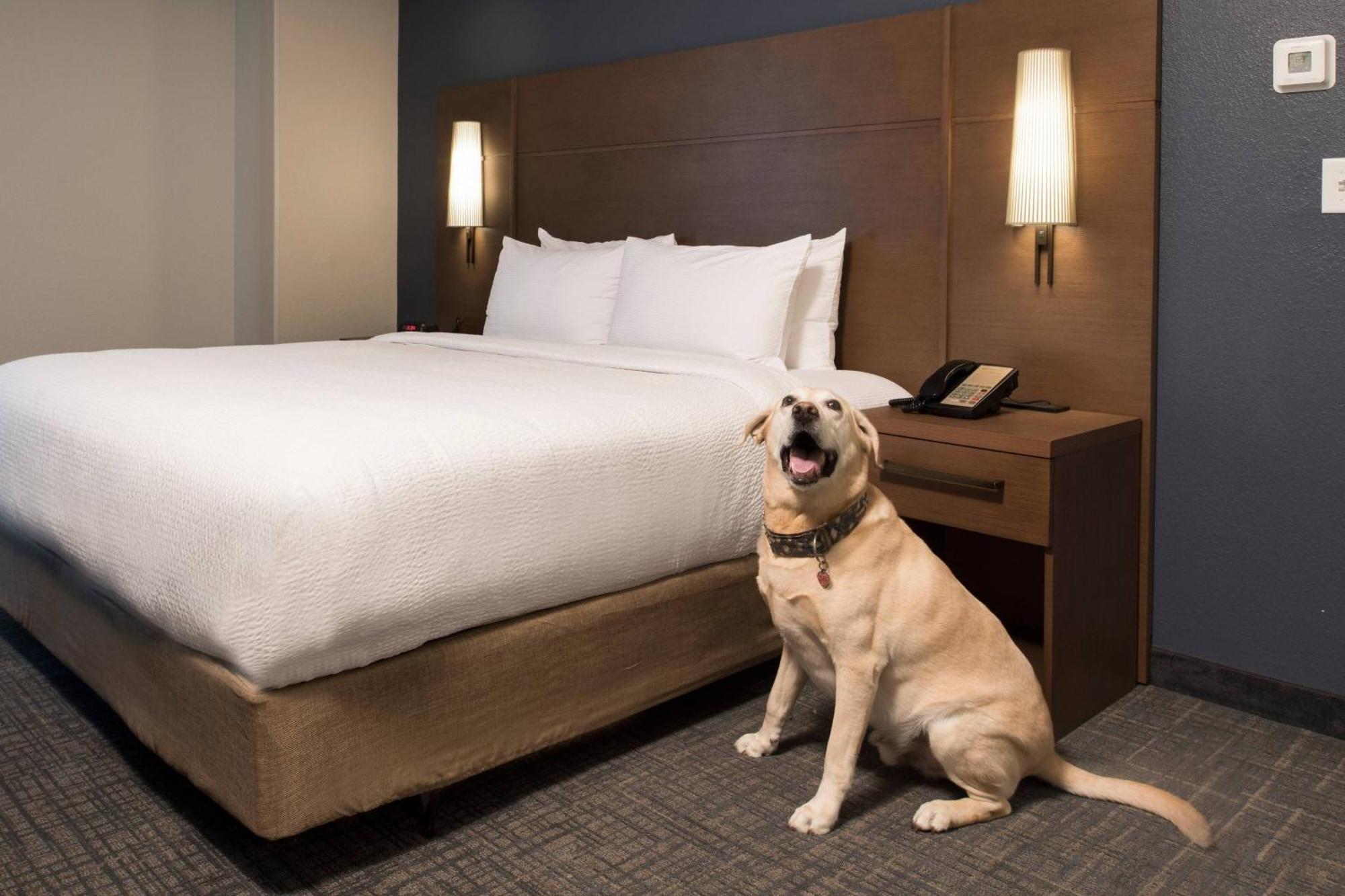 Hotel Downtown 3*